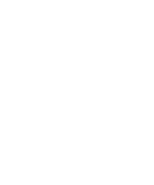 Logo The Saiyan Kiwi